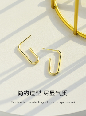轻奢纯银小众设计感大气耳环