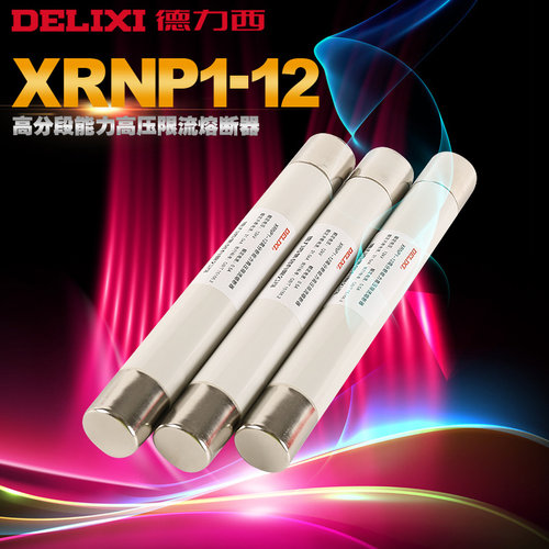 德力西XRNP1-12 24 40.5kv高分断能力高压限流熔断器 0.5-1A电气 - 图0
