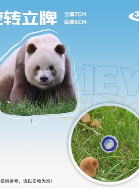 棕色熊猫七仔立牌摆件异形亚克力可爱立牌360的度旋转 来图定制