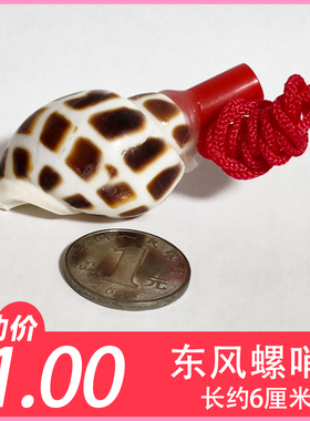 贝壳海螺精艺贝艺工艺品玩具