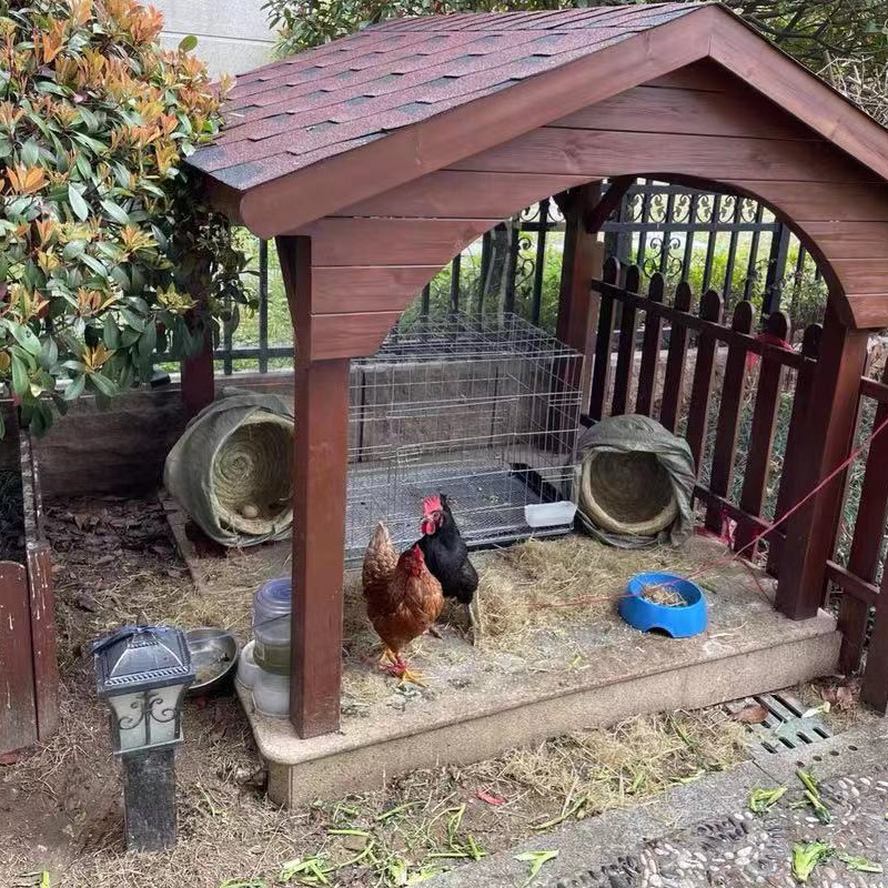 鸡窝下蛋窝草编母鸡过冬保暖稻草巢芦鹦鹉鸡窝搭建户外下蛋草窝 - 图1