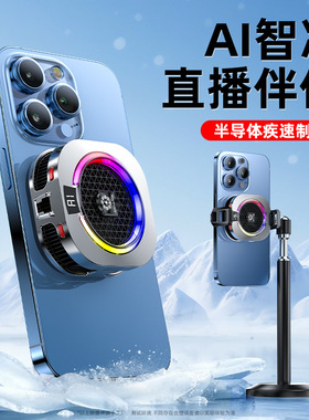 TH16磁吸半导体结冰手机散热器