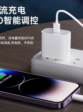 苹果8-18PD30W快充充电器套装