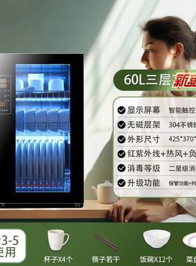台式壁挂俩用消毒碗柜