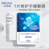 Персона,  q laaya banner 旯偻       