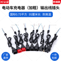 New National Standard Electric Car Charger Output Line Plug Love Maya Di New Japan Bench Bell Green Source Golden Arrow Plus Rough Long Line