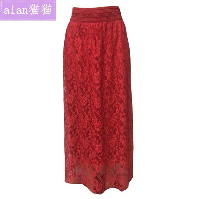 Party dresses women dress lace skirt long skirts dress lady - 图2