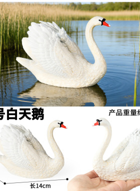 儿童动物模型仿真禽类玩具大号黑天鹅白天鹅鸟类飞禽认知家居摆件