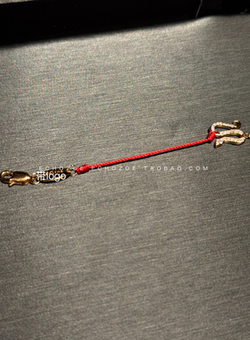 ECHOZOE蛇年限定暴富！招财！转运bi入款B+红绳高版灵蛇手链手绳