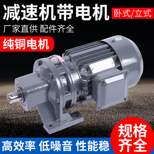 卧式立式行星摆线针轮减速机带电机器摆针式变速箱马达国标纯铜芯 - 图0