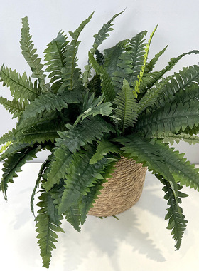 仿真蕨类植物大波斯草仿真草28叶波斯蕨植物墙装饰波士顿蕨