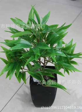 新品上市竹柏仿真植物植物墙配材观音竹竹子叶小盆景盆栽装饰