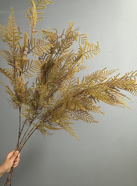 仿真文竹 中式家居花艺软装绿植盆栽蕨类植物摄影道具南洋杉松枝