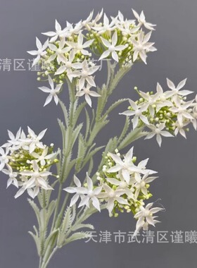 谨曦繁星花婚庆仿真花天津