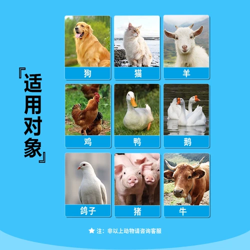 Звери с жидкой курицей с маслом печени трески для утки с гусями с многомерными куриными кормовыми добавками птица птица для птицы