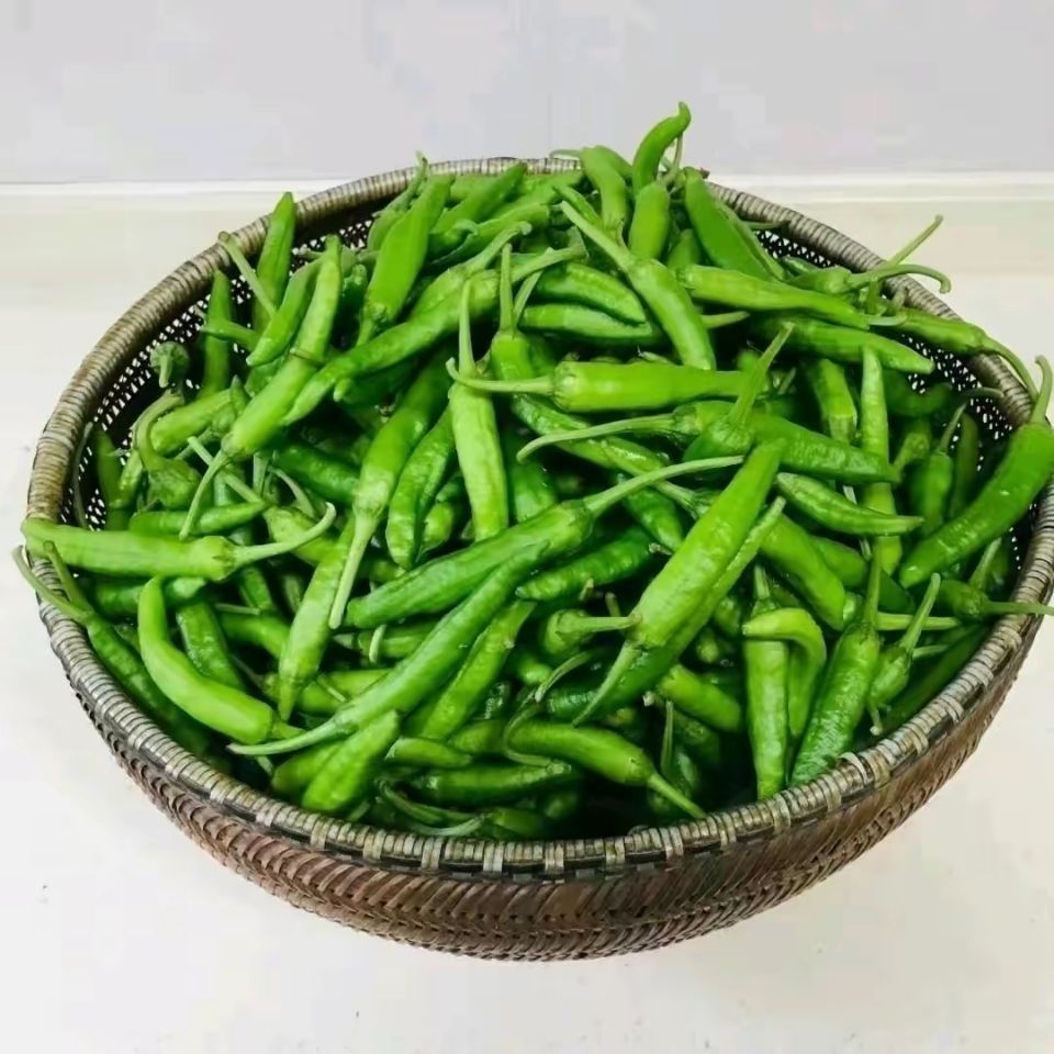 【特级】5斤正宗樟树新鲜皮薄辣椒青椒现摘富晒下饭菜食用包邮 - 图2