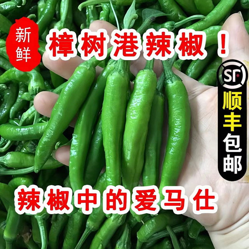 【特级】5斤岳阳樟树港原种辣椒农自种精品新鲜现摘湖南湘阴特产 - 图2