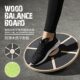 Sensory integration coordination functional rehabilitation training balance board