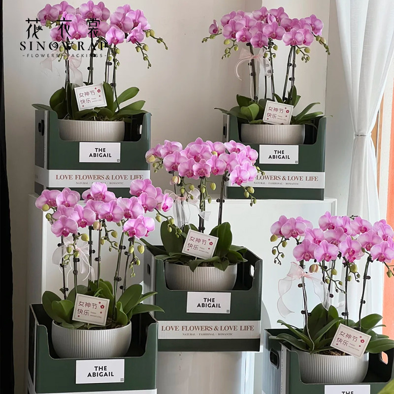 花衣裳 新年宵双侧手提花篮鲜花包装盒装饰盆栽插花盒礼盒diy资材,淘宝优惠券,粉丝福利购,淘宝优惠卷