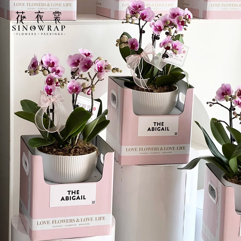 花衣裳 新年宵双侧手提花篮鲜花包装盒装饰盆栽插花盒礼盒diy资材,淘宝优惠券,粉丝福利购,淘宝优惠卷