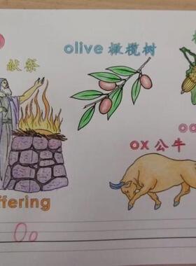 英文词汇拼写手绘本涂色本 精致新品