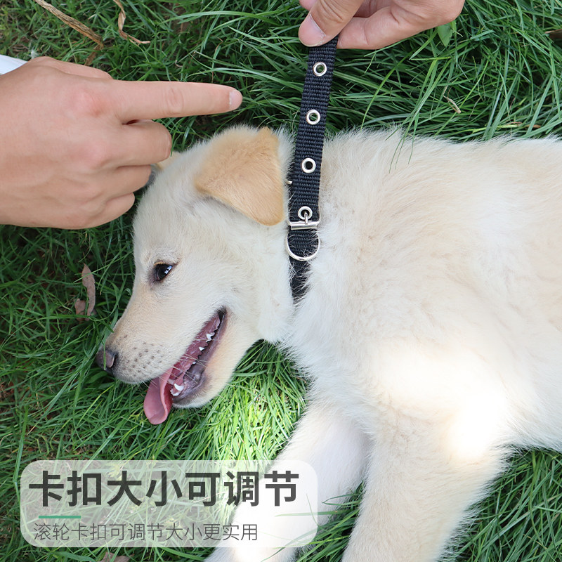 狗项圈大中小型犬宠物用品狗圈颈圈脖圈犬金毛泰迪围脖套头套狗绳_虎窝淘