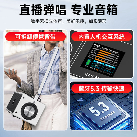 Altavoz británico con cabeza de tigre KAEM5 para instrumentos musicales