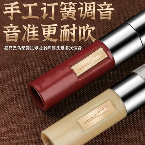 Музыкальные инструменты для школьников, подходит для начинающих