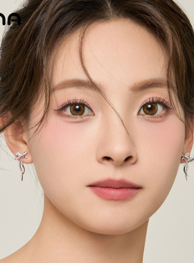 ona气质高级感蝴蝶结耳环女
