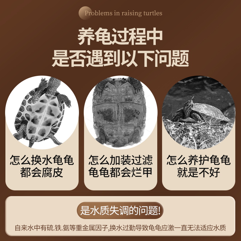 乌龟专用龙眼叶养龟造景树叶躲避免煮叶子龟缸改善调节水质去腐皮-图0