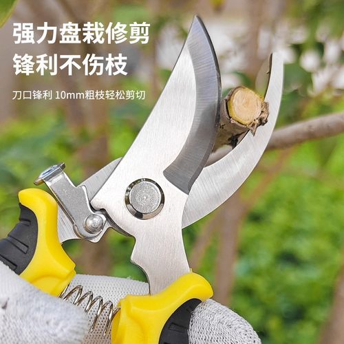 果树修枝剪修枝剪刀剪树枝修剪树树剪子园林园艺剪刀花艺专用剪刀 - 图2