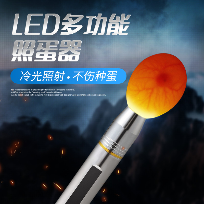 照蛋器led手电筒孵化专用验蛋孵蛋可充电照蛋灯蛋种检查冷光孵化 - 图0