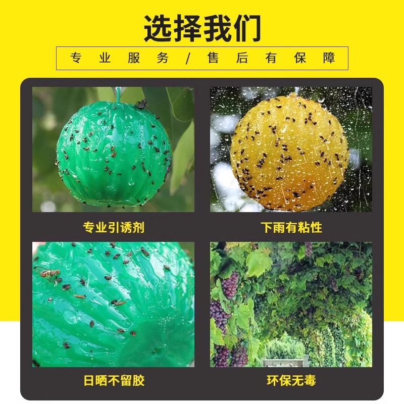 沾虫球诱蝇球粘虫诱虫胶球粘蚊子果蝇柑橘大实蝇引诱剂飞虫诱捕器-图1