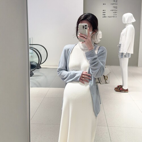 HAIDE妈咪孕妇装半高领短袖法式气质高级感显瘦中长孕妇裙连衣裙 - 图0