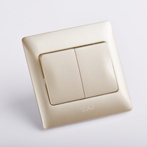(clear bin deposit) space-based TJ switch socket JagZhi ultra-thin 16A-2 open double control switch Champagne gold concealed 86