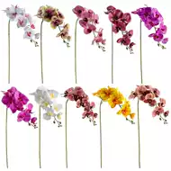 新年装饰花卉 新人首单立减十元 21年7月 淘宝海外