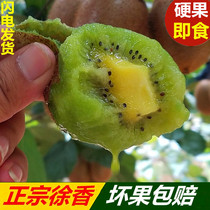 Zhengzong Shaanxi Eyebrow County Week To Xu Xiangqi Isomic Fruits 5 Catty Net Heavy Fresh Non-Jiang Mountain Cuisie Chic Exotic Fruits.