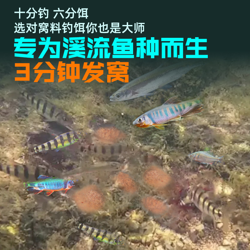 威拓森溪流专用打窝窝料野钓石斑鱼马口白条颗粒钓饵料浓腥面筋饵-图1