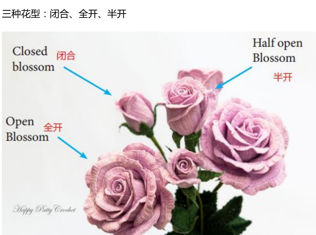 钩针编织图解 超美玫瑰花 花卉钩织 手工diy中文电子教程 - 图0