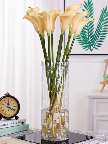 Очень большая цилиндрическая посадка насыщенные бамбуковые цветочные бутылки с прямым стеклом прозрачное гидропонное гидропонная прямая трубка домашняя гостиная