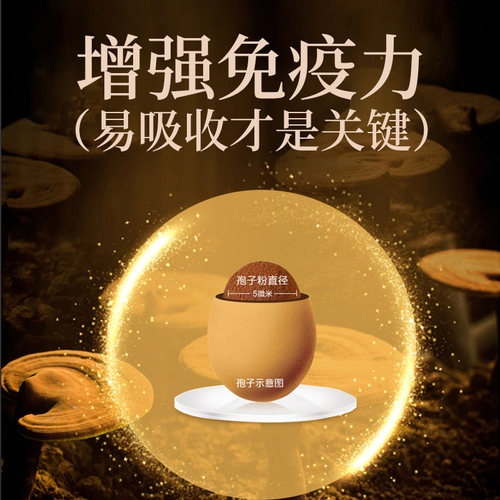 敖东破壁灵芝孢子粉胶囊提高增强免疫力破壁长白山正品官方旗舰店 - 图2