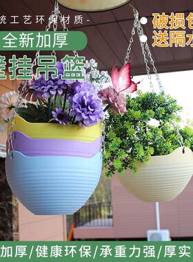 6个加厚塑料墙绿箩花盆树脂吊盆