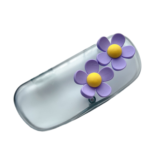 夜光！夏季小雏菊透明磨砂磁吸高级感框架眼镜盒墨镜收纳盒女士