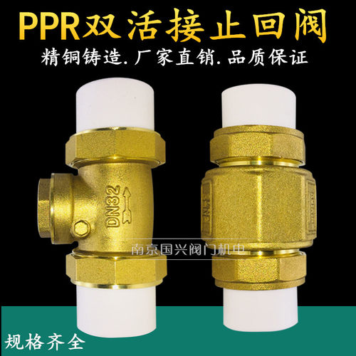 PPR黄铜卧式立式止回阀4分6分1寸水管水表单向逆止阀DN15 20 25 - 图0