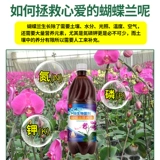 Phalaenopsis Специальное удобрение питания жидкость, способствуя цветущим жидким удобрениям питательные удобрения обычные органические удобрения