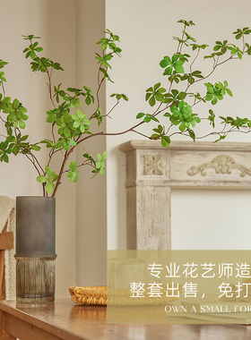 鲜花落地绿植马醉木ins日本吊钟