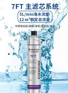爱惠浦（Everpure）FT系列商用大流量净水系统 咖啡店 奶茶店