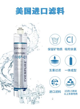 爱惠浦（Everpure）I500(2)净水器主滤芯 除去余氯 含抑垢配方