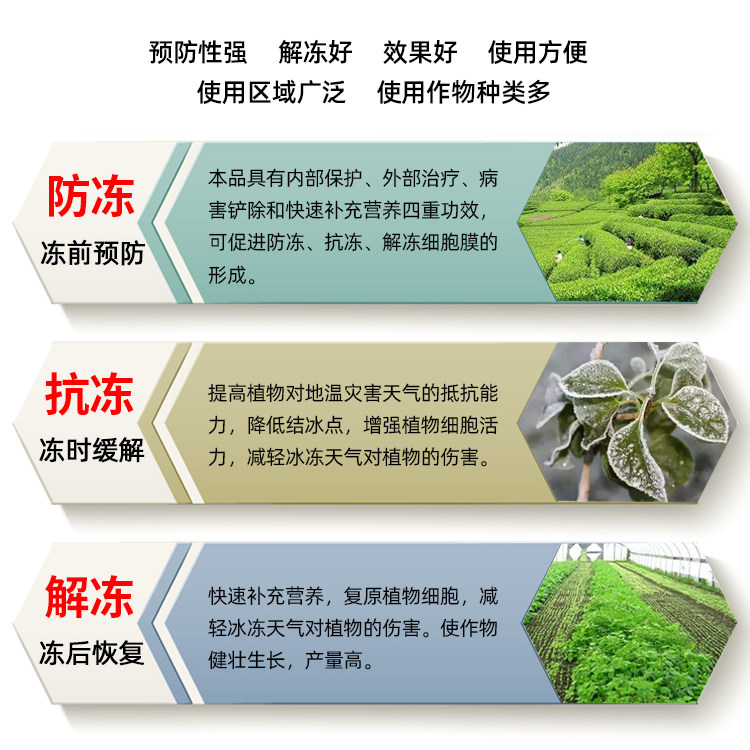 进口防冻抗冻解害2号植物防冻剂抗寒树木花卉蔬菜抗冻 大棚防霜冻,淘宝优惠券,粉丝福利购,淘宝优惠卷