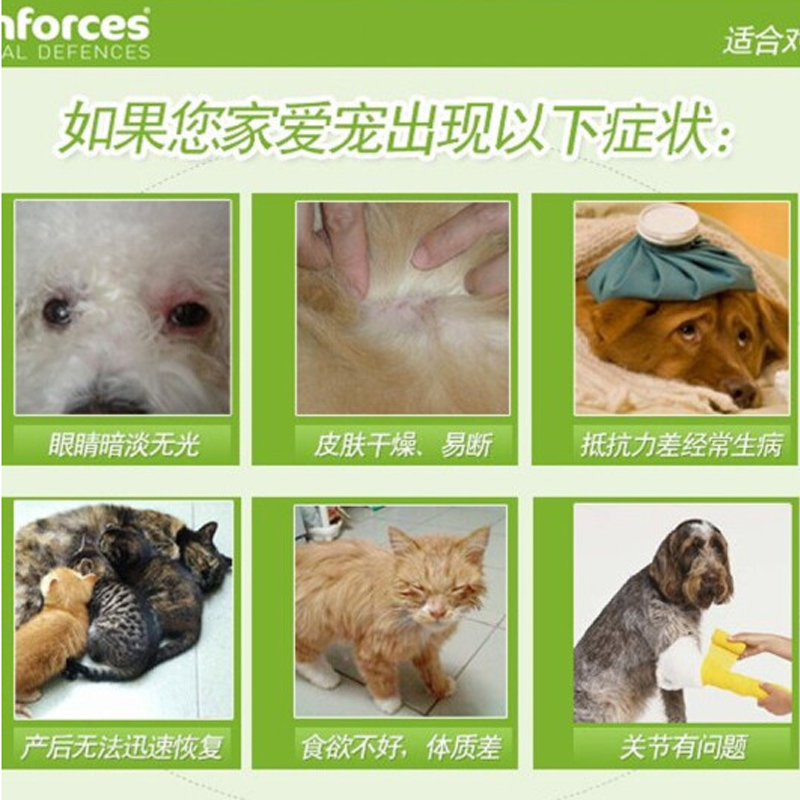 比利时viyo唯优营养液猫咪营养补充剂猫咪全阶段可用术后恢复增肥 - 图1